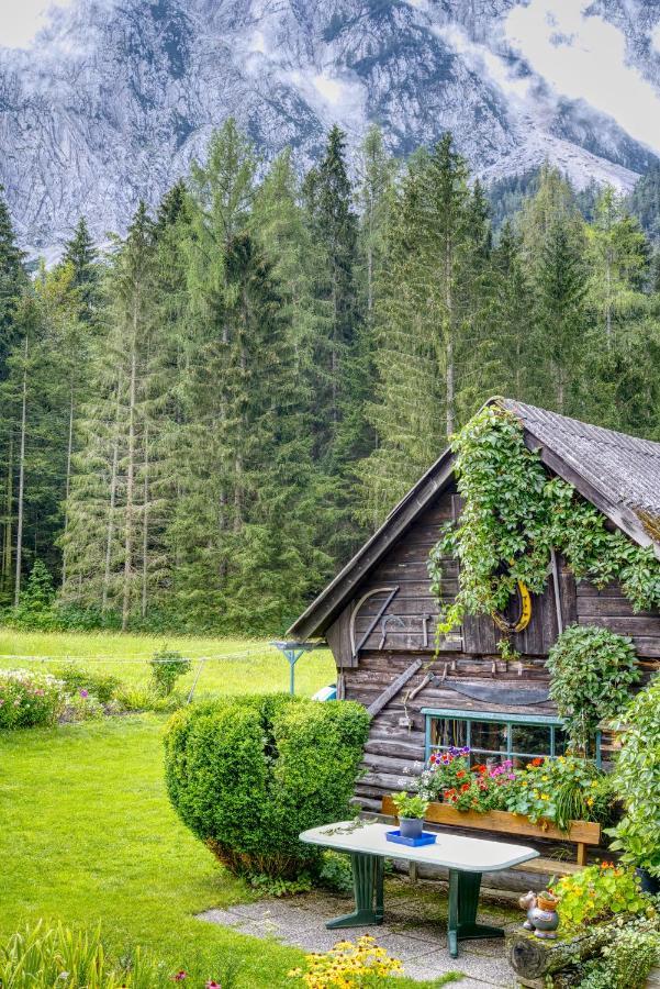 Haus Hildegard Apartman Tauplitz Kültér fotó
